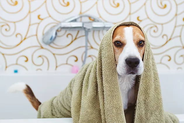 Mud/Spa Treatment