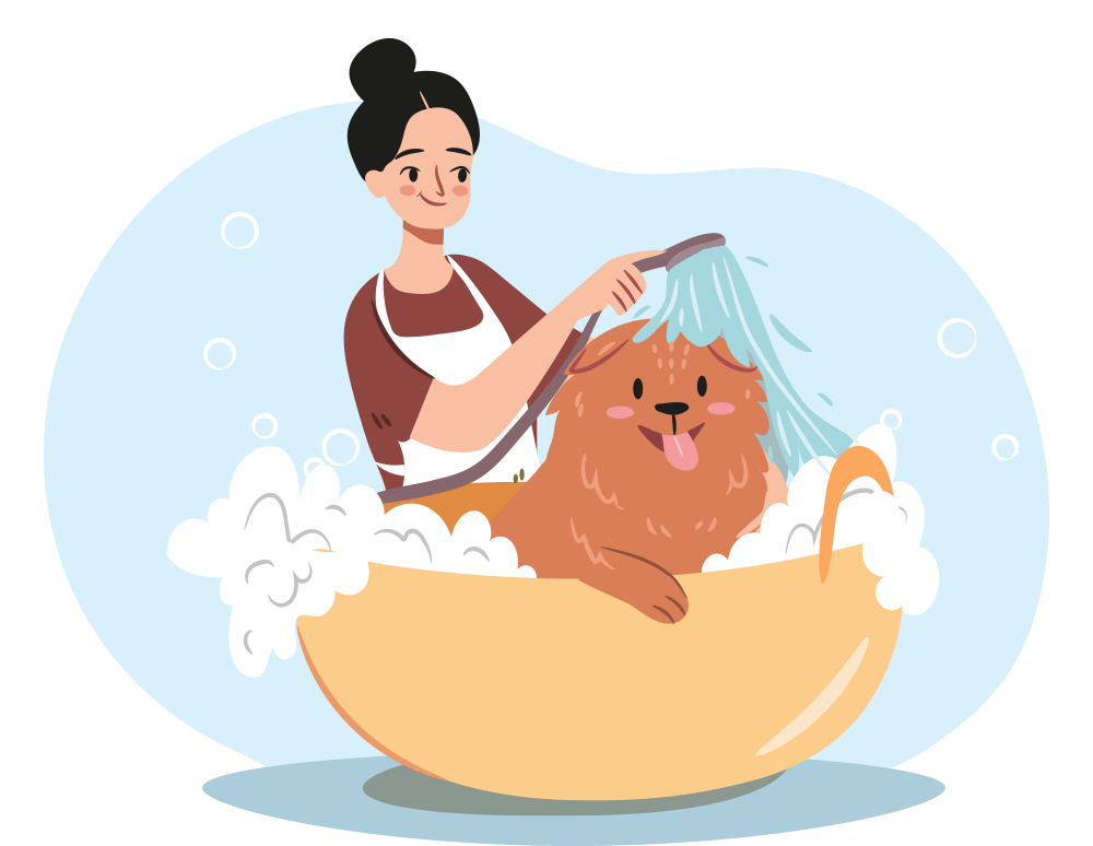 Dog grooming at Jersey City Paws